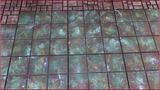 Flash Sale! Painted Variety Pack - The Underdark Set